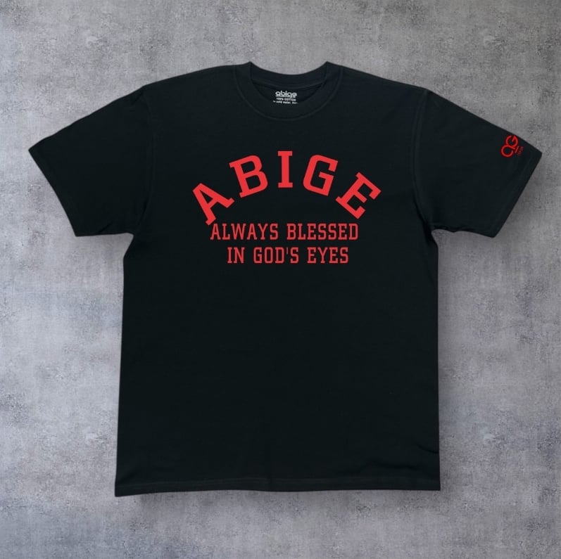 ABIGE Support Package 2 (2 Hoodies + 2 T-Shirts) $50.00 Savings - Image 16